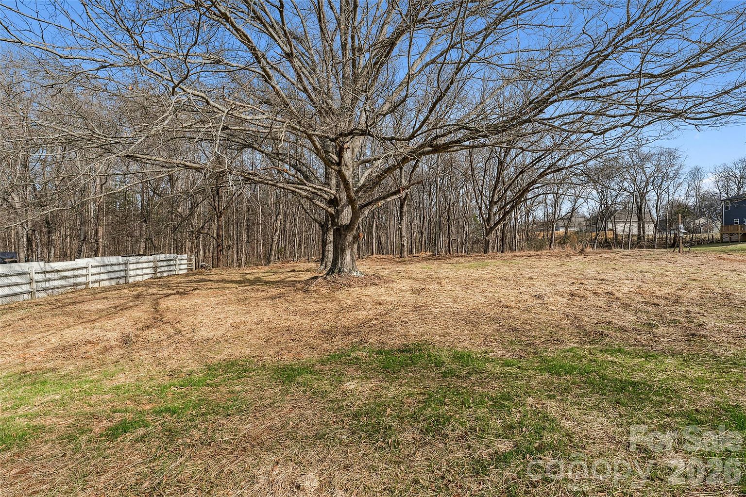 Large backyard with mature oak tree, wooden fence, and plenty of open green space